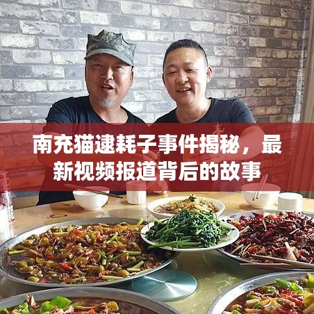 南充猫逮耗子事件揭秘，最新视频报道背后的故事