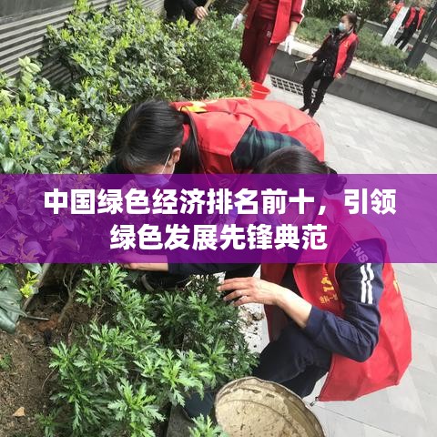 中国绿色经济排名前十，引领绿色发展先锋典范