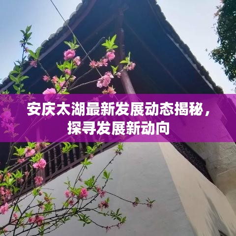 安庆太湖最新发展动态揭秘，探寻发展新动向