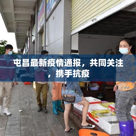 屯昌最新疫情通报，共同关注，携手抗疫
