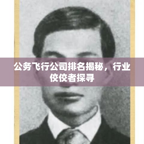 公务飞行公司排名揭秘，行业佼佼者探寻