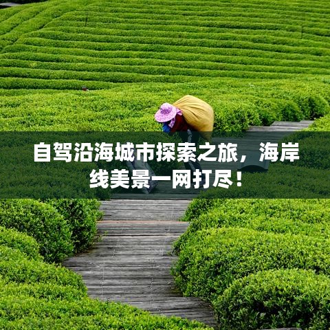 自驾沿海城市探索之旅，海岸线美景一网打尽！
