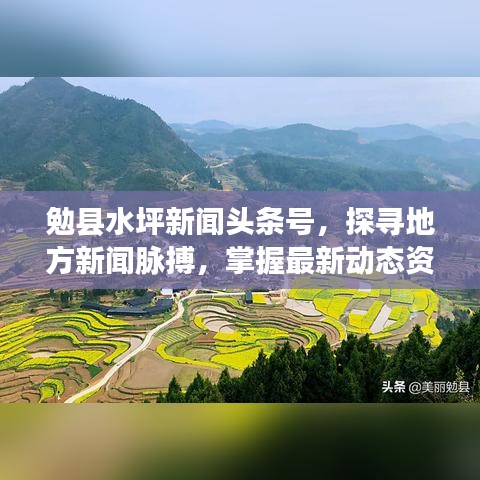 勉县水坪新闻头条号，探寻地方新闻脉搏，掌握最新动态资讯！