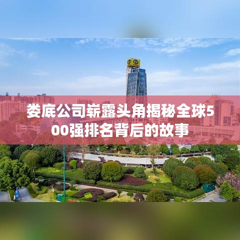 娄底公司崭露头角揭秘全球500强排名背后的故事
