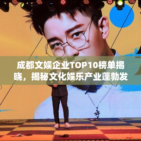 成都文娱企业TOP10榜单揭晓，揭秘文化娱乐产业蓬勃发展背后的脉搏