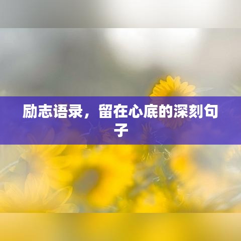 励志语录，留在心底的深刻句子