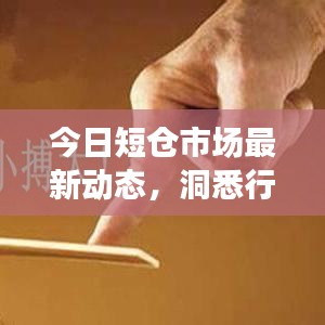 今日短仓市场最新动态，洞悉行情变化，把握投资机遇查询