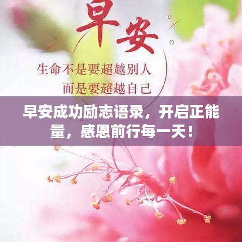 早安成功励志语录，开启正能量，感恩前行每一天！