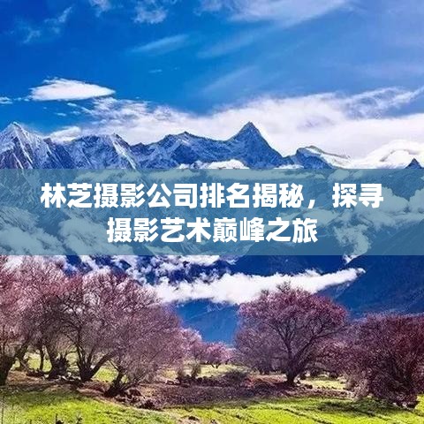 林芝摄影公司排名揭秘，探寻摄影艺术巅峰之旅
