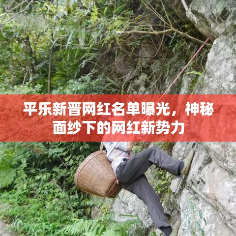 平乐新晋网红名单曝光，神秘面纱下的网红新势力