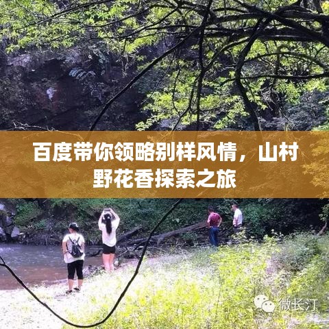 百度带你领略别样风情，山村野花香探索之旅