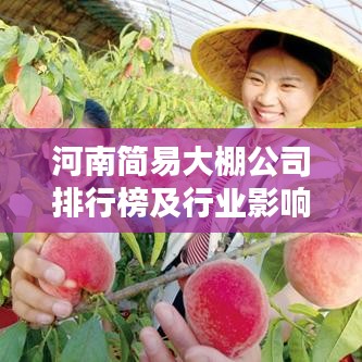 河南简易大棚公司排行榜及行业影响力分析