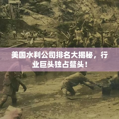 美国水利公司排名大揭秘，行业巨头独占鳌头！
