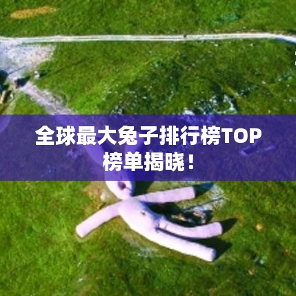 全球最大兔子排行榜TOP榜单揭晓！