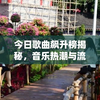今日歌曲飙升榜揭秘，音乐热潮与流行风向标最新视频