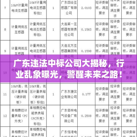 广东违法中标公司大揭秘，行业乱象曝光，警醒未来之路！