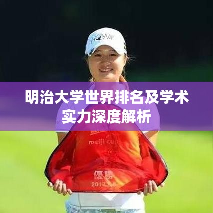 明治大学世界排名及学术实力深度解析