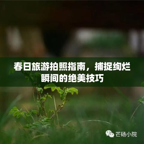 春日旅游拍照指南，捕捉绚烂瞬间的绝美技巧