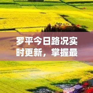 罗平今日路况实时更新，掌握最新路况信息