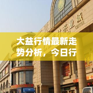 大益行情最新走势分析，今日行情走势观察与深度解析