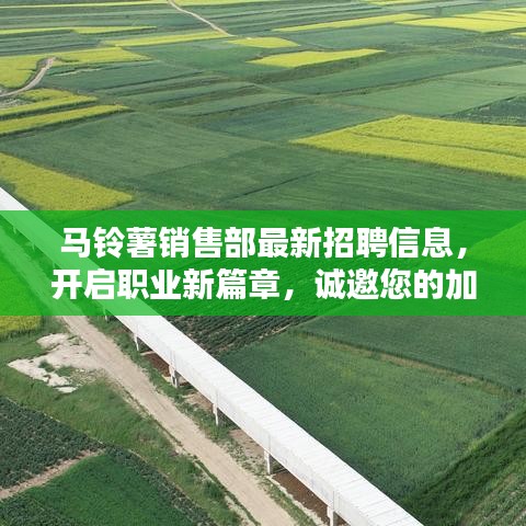 马铃薯销售部最新招聘信息，开启职业新篇章，诚邀您的加入！
