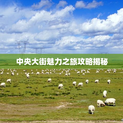 中央大街魅力之旅攻略揭秘