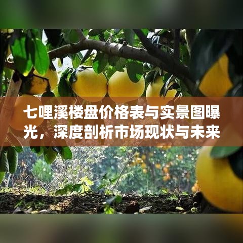 七哩溪楼盘价格表与实景图曝光，深度剖析市场现状与未来趋势展望