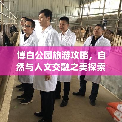 博白公园旅游攻略，自然与人文交融之美探索之旅
