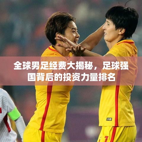 全球男足经费大揭秘，足球强国背后的投资力量排名