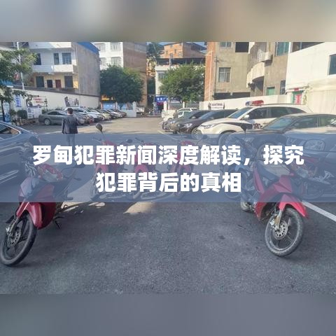 罗甸犯罪新闻深度解读，探究犯罪背后的真相