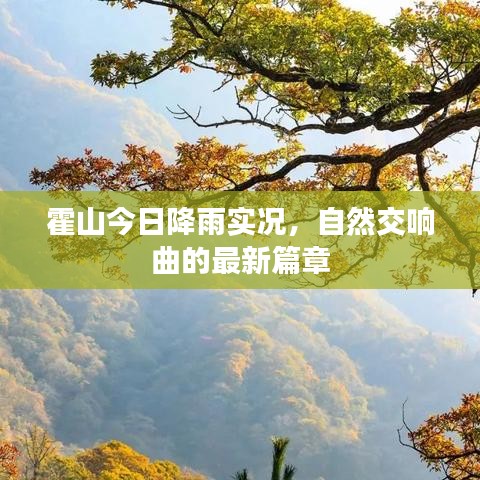 霍山今日降雨实况，自然交响曲的最新篇章