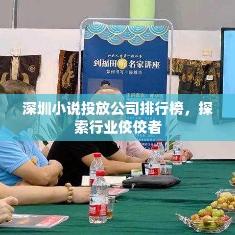 深圳小说投放公司排行榜，探索行业佼佼者