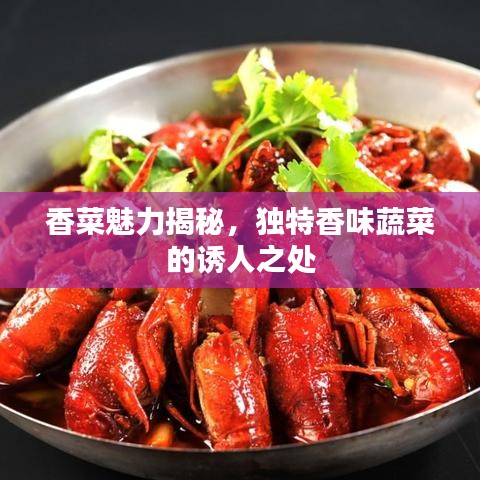 香菜魅力揭秘，独特香味蔬菜的诱人之处