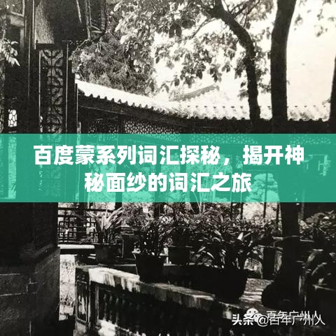 百度蒙系列词汇探秘，揭开神秘面纱的词汇之旅
