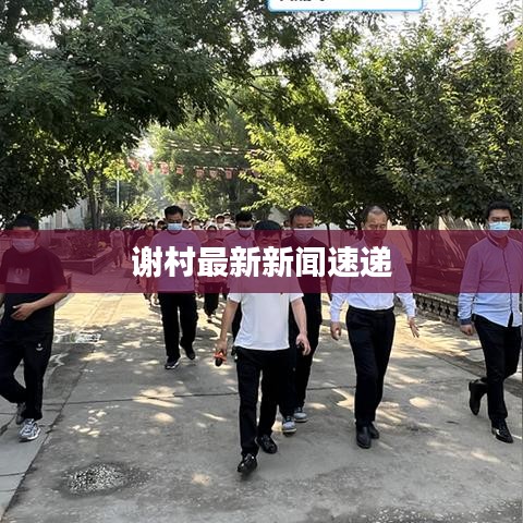 谢村最新新闻速递