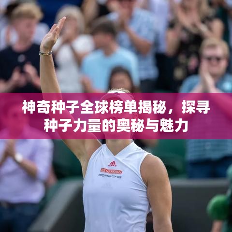 神奇种子全球榜单揭秘，探寻种子力量的奥秘与魅力