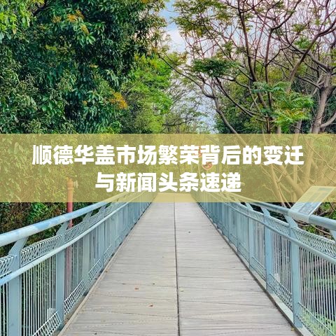 顺德华盖市场繁荣背后的变迁与新闻头条速递