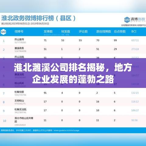 淮北濉溪公司排名揭秘，地方企业发展的蓬勃之路