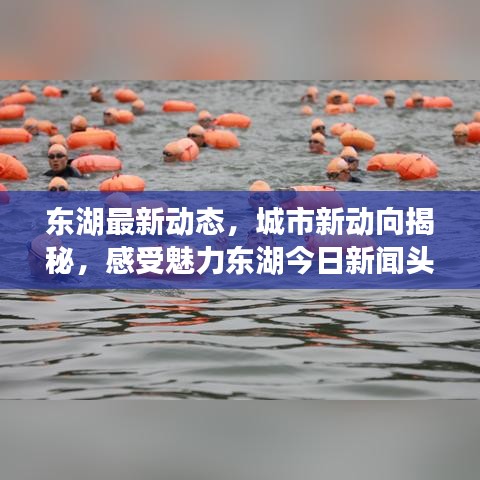 东湖最新动态，城市新动向揭秘，感受魅力东湖今日新闻头条
