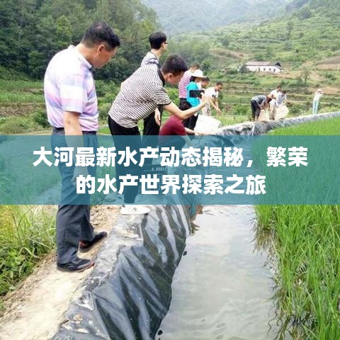 大河最新水产动态揭秘，繁荣的水产世界探索之旅