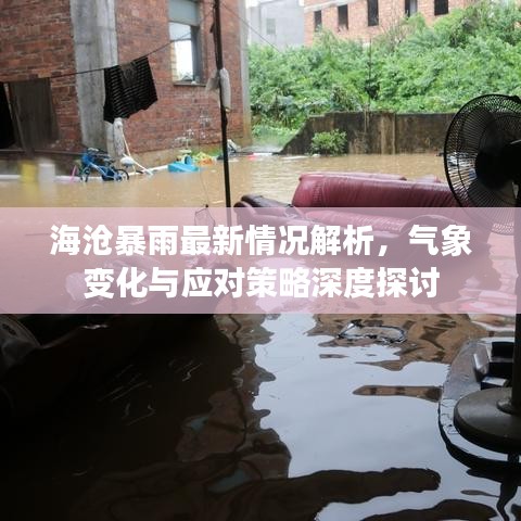 海沧暴雨最新情况解析，气象变化与应对策略深度探讨