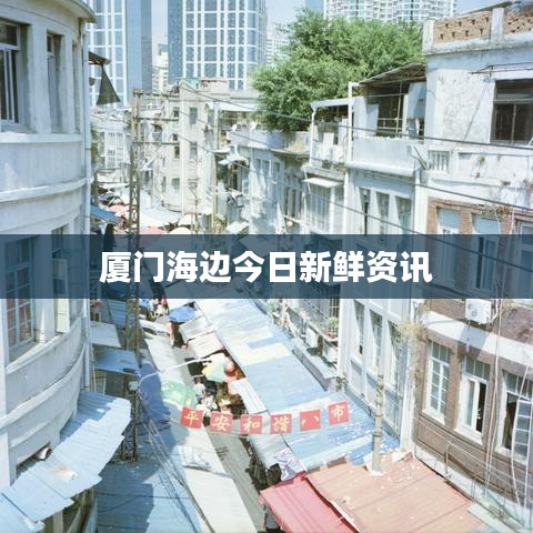 厦门海边今日新鲜资讯