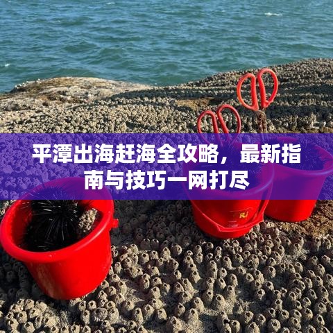 平潭出海赶海全攻略，最新指南与技巧一网打尽