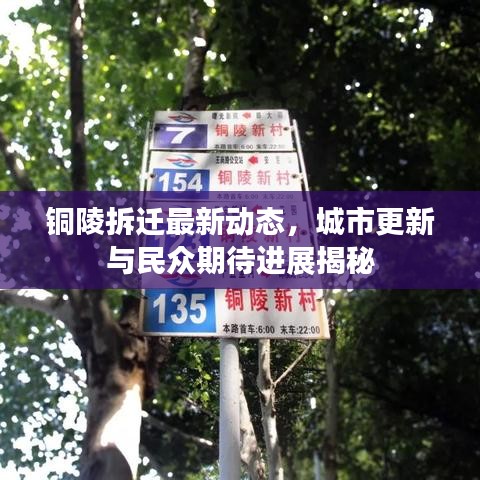 铜陵拆迁最新动态，城市更新与民众期待进展揭秘