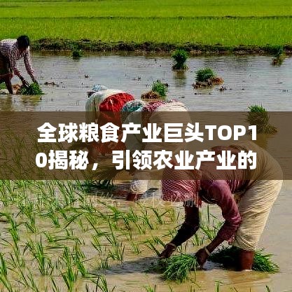 全球粮食产业巨头TOP10揭秘，引领农业产业的企业榜单