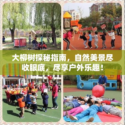 大柳树探秘指南，自然美景尽收眼底，尽享户外乐趣！