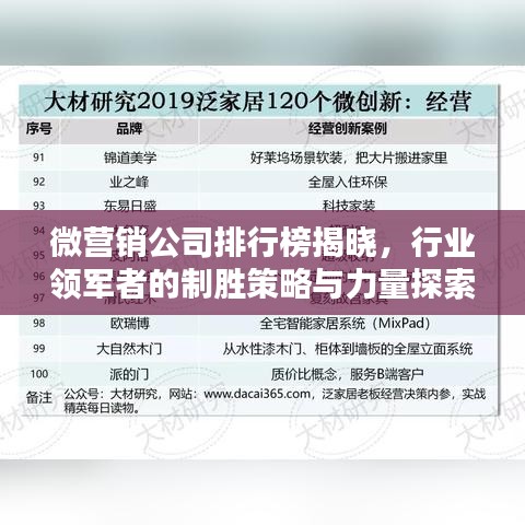 微营销公司排行榜揭晓，行业领军者的制胜策略与力量探索