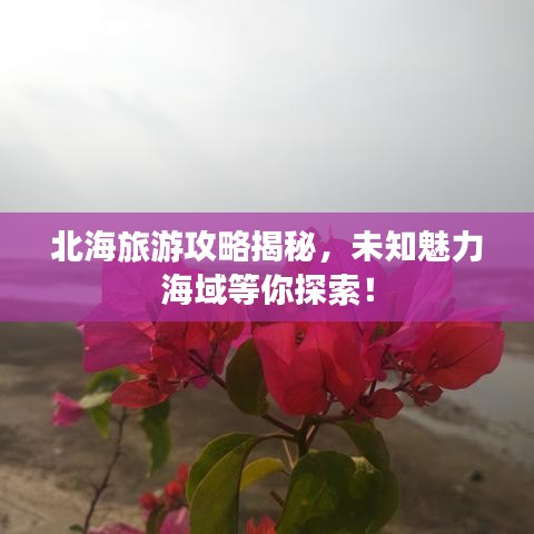 北海旅游攻略揭秘，未知魅力海域等你探索！