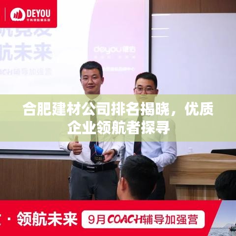 合肥建材公司排名揭晓，优质企业领航者探寻