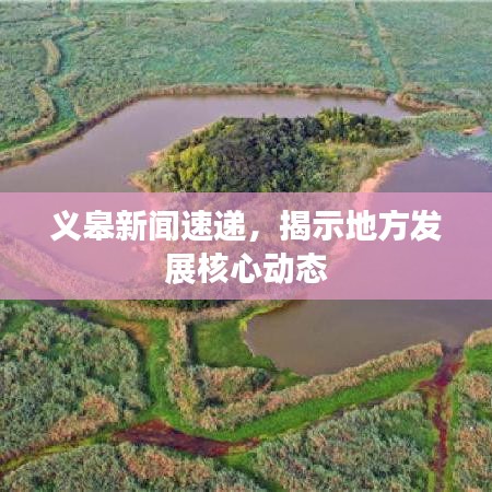 义皋新闻速递，揭示地方发展核心动态